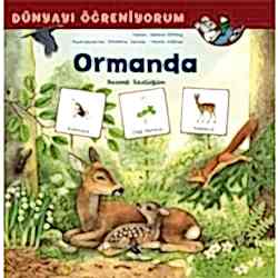 Dünyayı Öğreniyorum: Ormanda