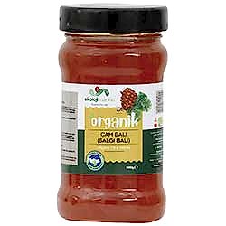 Ekoloji Market Organik Marmaris Çam Balı 400g