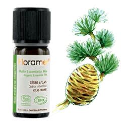 Florame Organik Atlas Sediri  Cedrus Atlantica  Esansiyel Yağı 10ml