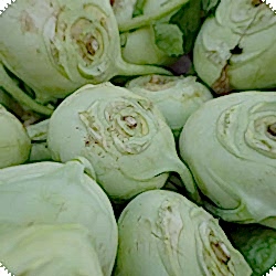 Organik Alabaş  ADET 