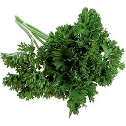 Organik Frenk Maydanozu  DEMET 