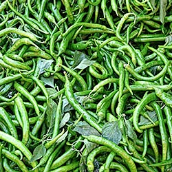 Organik Kıl Biber  KG 