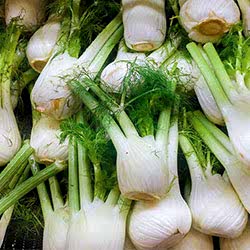 Organik Rezene  Adet 