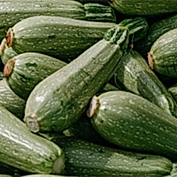 Organik Sakız Kabak  KG 