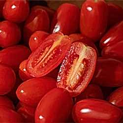 Organik Şeker Domates  KG 