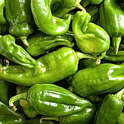 Organik Köy Biberi  KG 