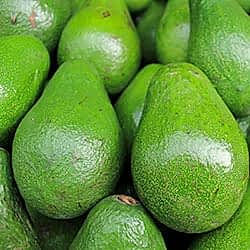 Organik Avokado  KG 