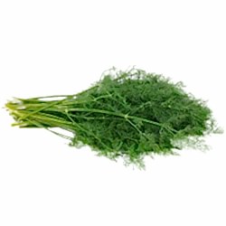 Organik Dereotu  DEMET 