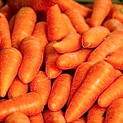 Organik Beypazarı Havuç  KG 