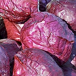 Organik Mor Lahana  KG 