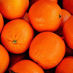 Organik Portakal  KG 