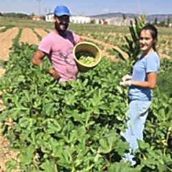 Ersöz Organik Çiftlik, Afyon Başmakçı