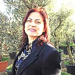 Zertum Zeytincilik, Manisa Salihli