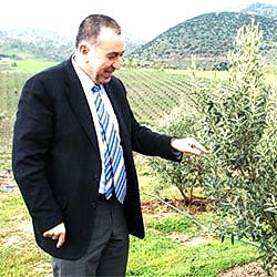 İlhan Sarı Organik Zeytin Çiftliği