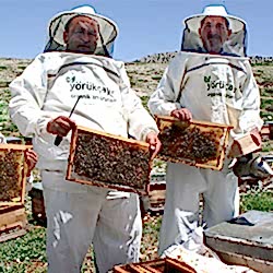 Şahbaz Çay ve Murat Çay, Boynuinceli Eğriçayır