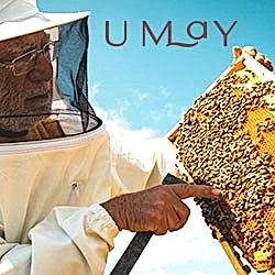 Umay Organik Arıcılık, Sivas Zara Balı